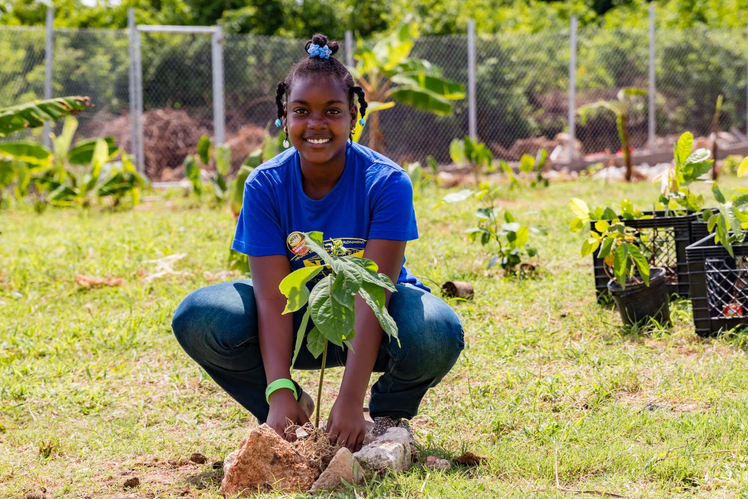 Student Plants Tree