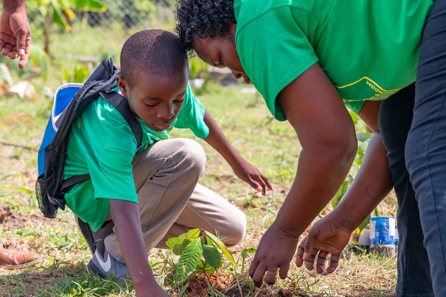 Student Planting Tree