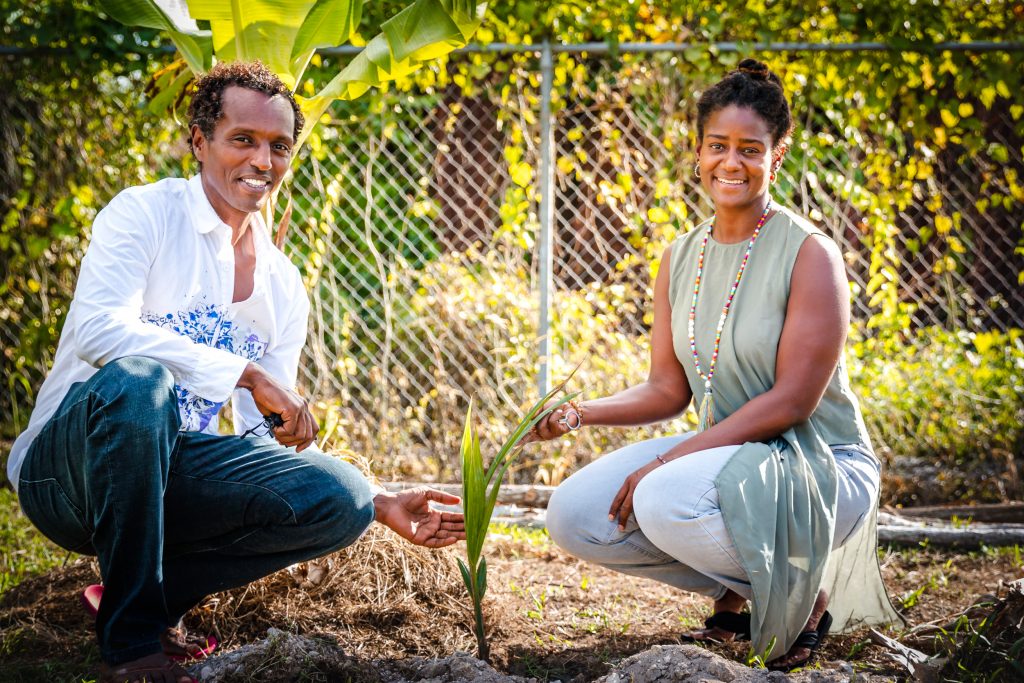 Two adults planting tree